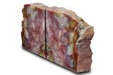 Tall Colorful Petrified Wood Bookends - Washington #382144-2
